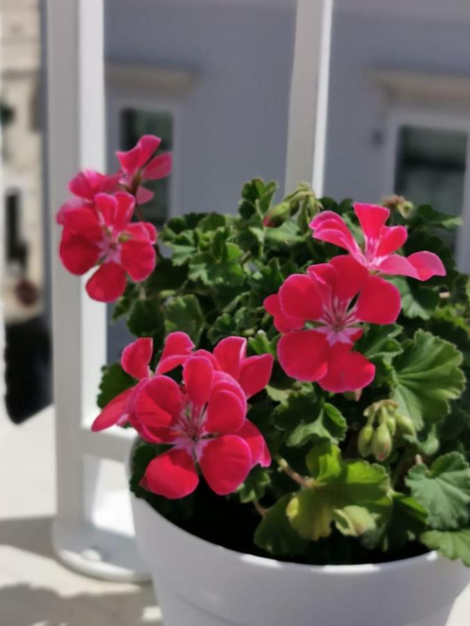 Appartamento Casa Chiara Monopoli Esterno foto